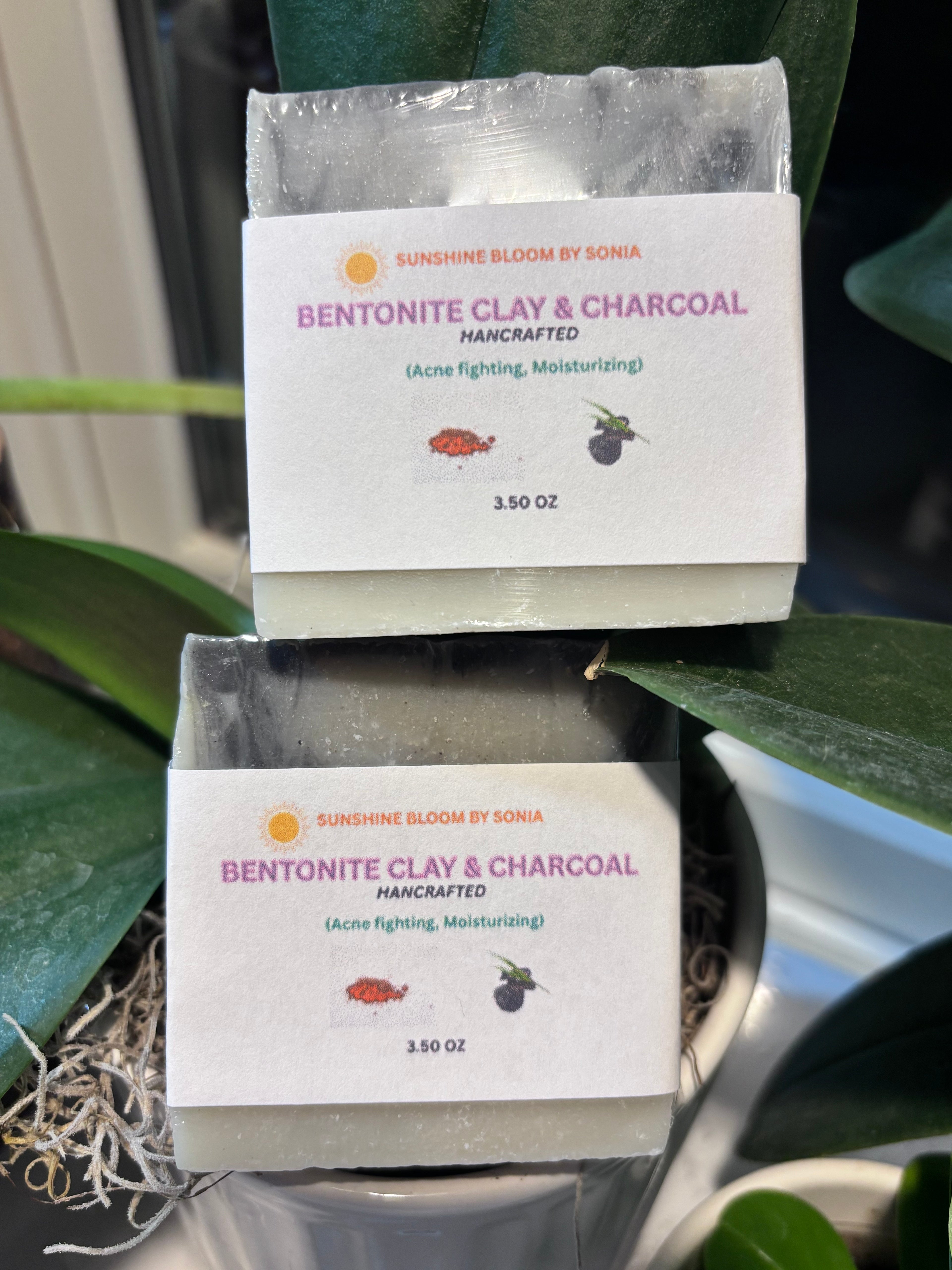 Bentonite Clay & Charcoal